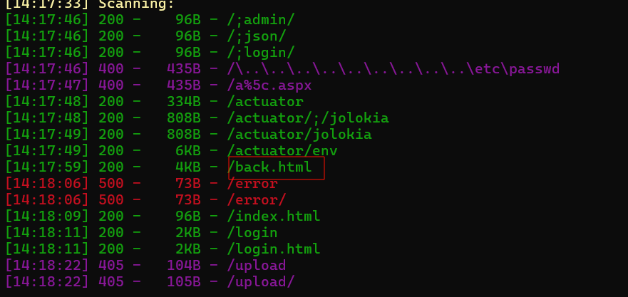 image-20250601142753281