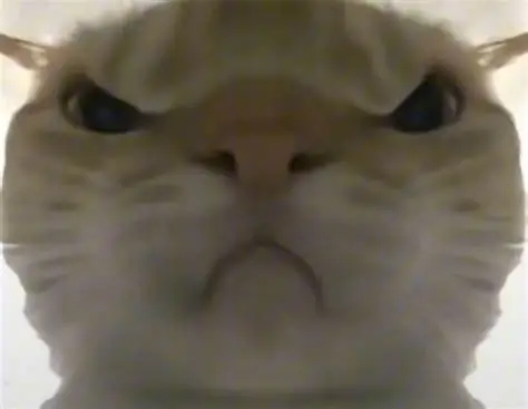 鼠鼠猛攻是什么意思_鼠鼠猛攻的意思_单词乎